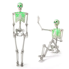 5.5ft Life-Size Pre-Lit Halloween Skeleton (Color: White)